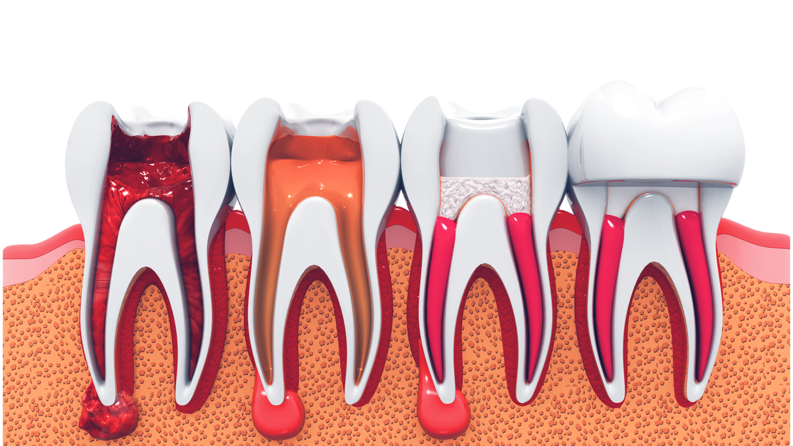 Image hover effect image